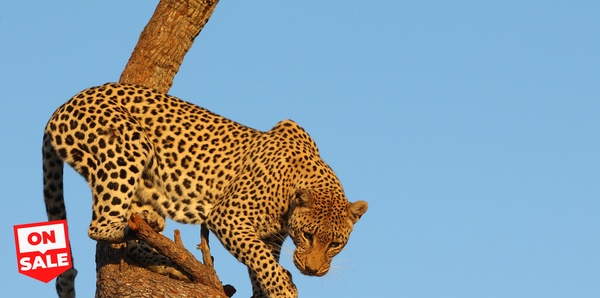 The Best of Zimbabwe, Botswana & Namibia Tours and flights holiday experience