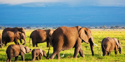 East Africa
